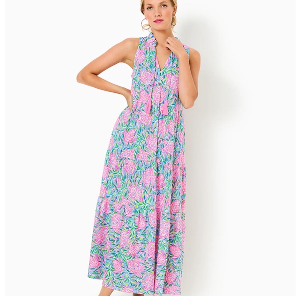 $198 NWT LILLY PULITZER MALONE MAXI DRESS FRENCHIE BLUE PINK TURTLEY IN LOVE L - Picture 4 of 12